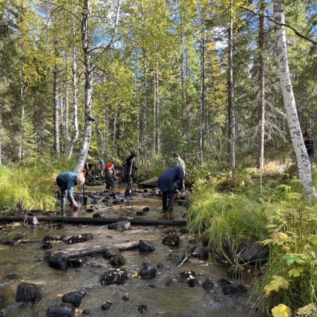 vesistösäätiö