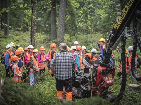 Kaikki kutoset metsään